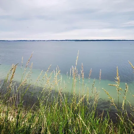 Hébergement de vacances 84615-knebel-fuglsovig-36